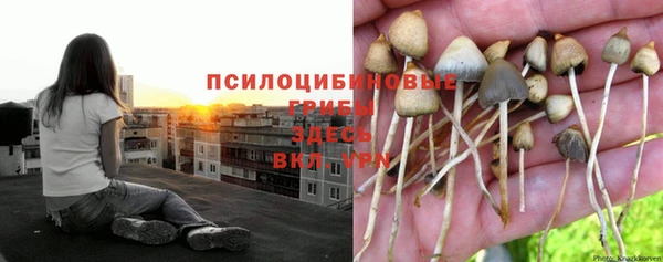 jwh Семёнов
