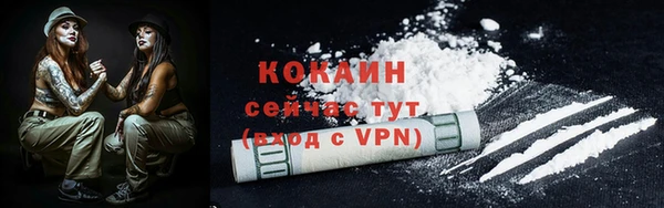 прущие грибы Корсаков