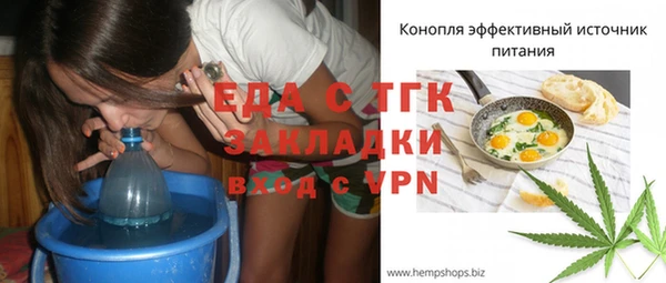 прущие грибы Корсаков