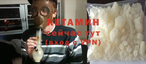 крисы Коряжма