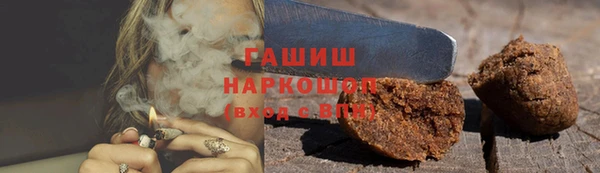крисы Коряжма