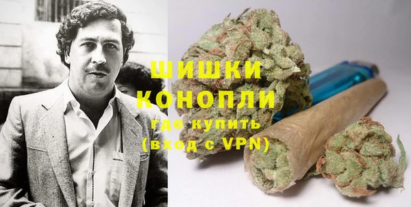 крисы Коряжма