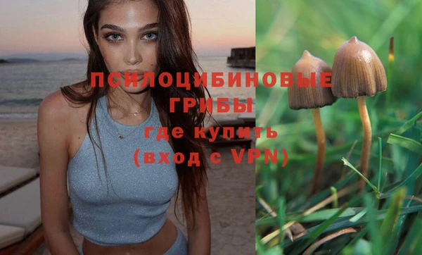 крисы Коряжма