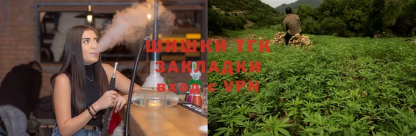 крисы Коряжма