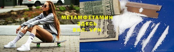 прущие грибы Корсаков