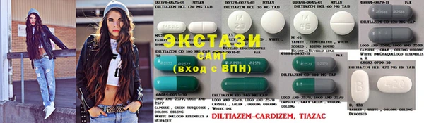 прущие грибы Корсаков