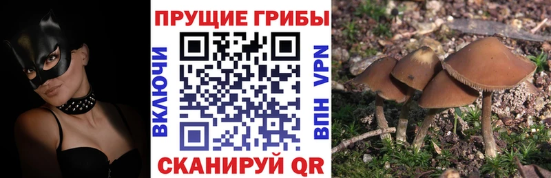 Галлюциногенные грибы мухоморы  Володарск 